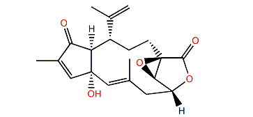 Coralloidolide F